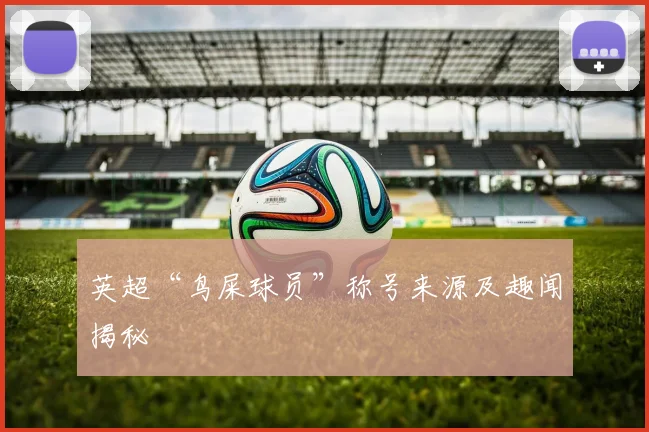 英超“鸟屎球员”称号来源及趣闻揭秘