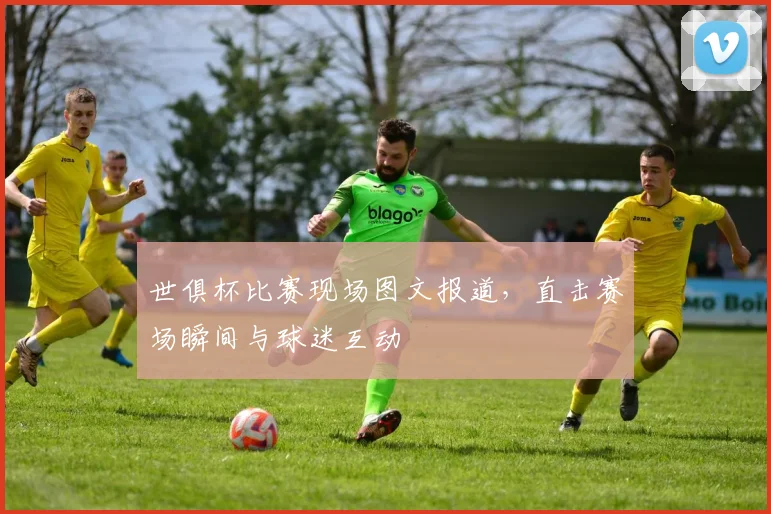 世俱杯比赛现场图文报道，直击赛场瞬间与球迷互动