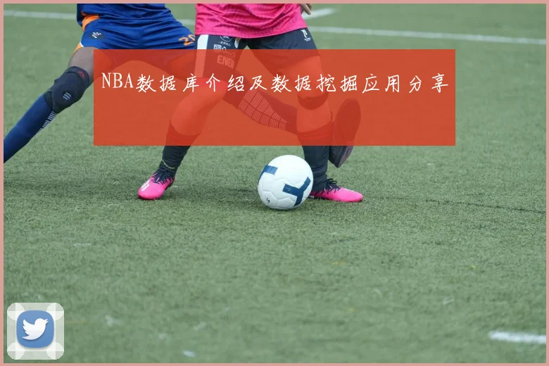 NBA数据库介绍及数据挖掘应用分享