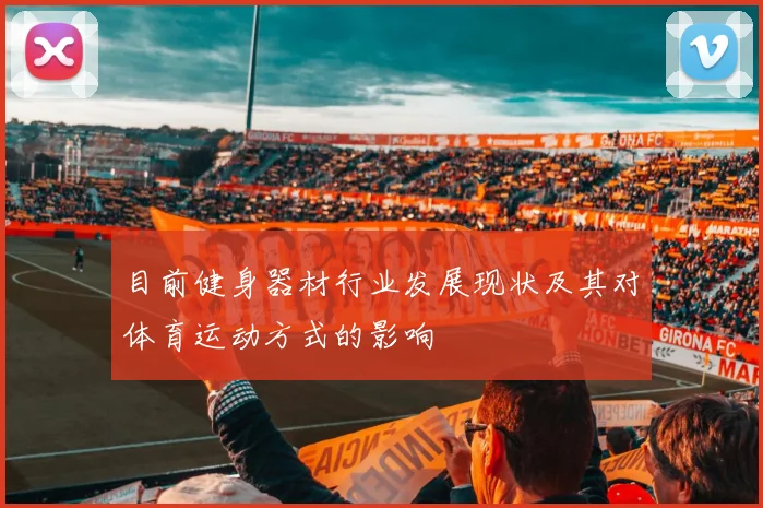 目前健身器材行业发展现状及其对体育运动方式的影响