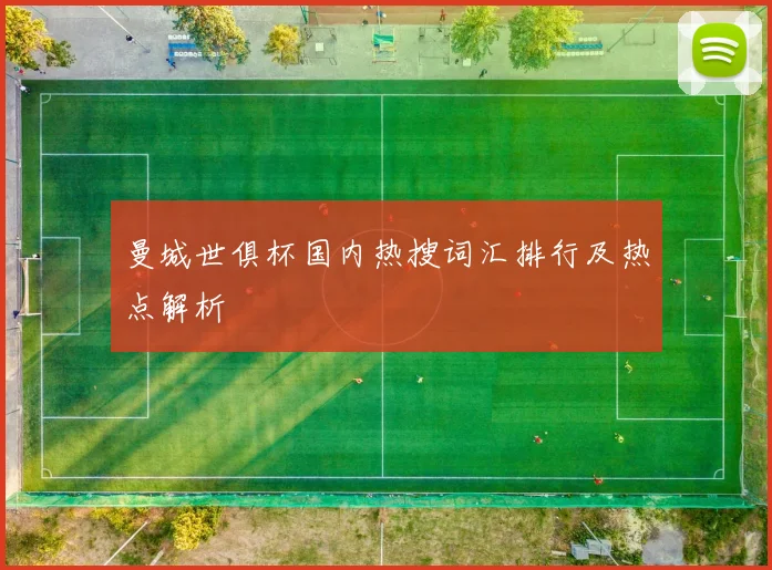 曼城世俱杯国内热搜词汇排行及热点解析