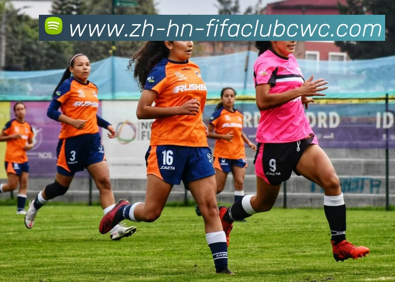 世界杯平台发展历程